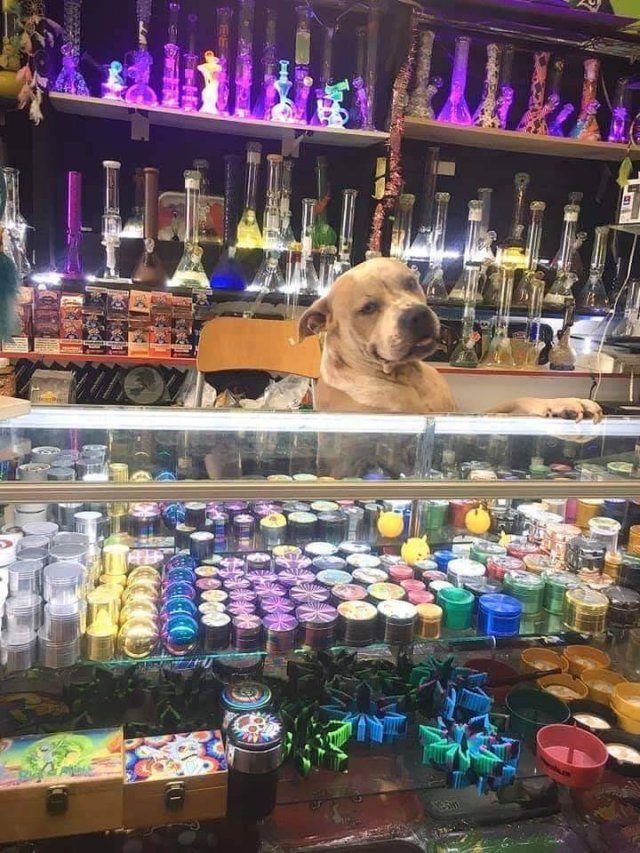 Acid Picdump. Part 1 (80 pics)