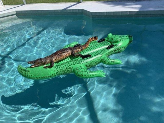 Acid Picdump. Part 1 (80 pics)