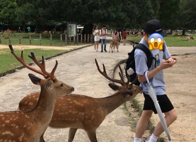 Acid Picdump. Part 1 (80 pics)