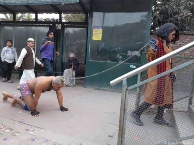 Acid Picdump, Part 2 (74 pics)