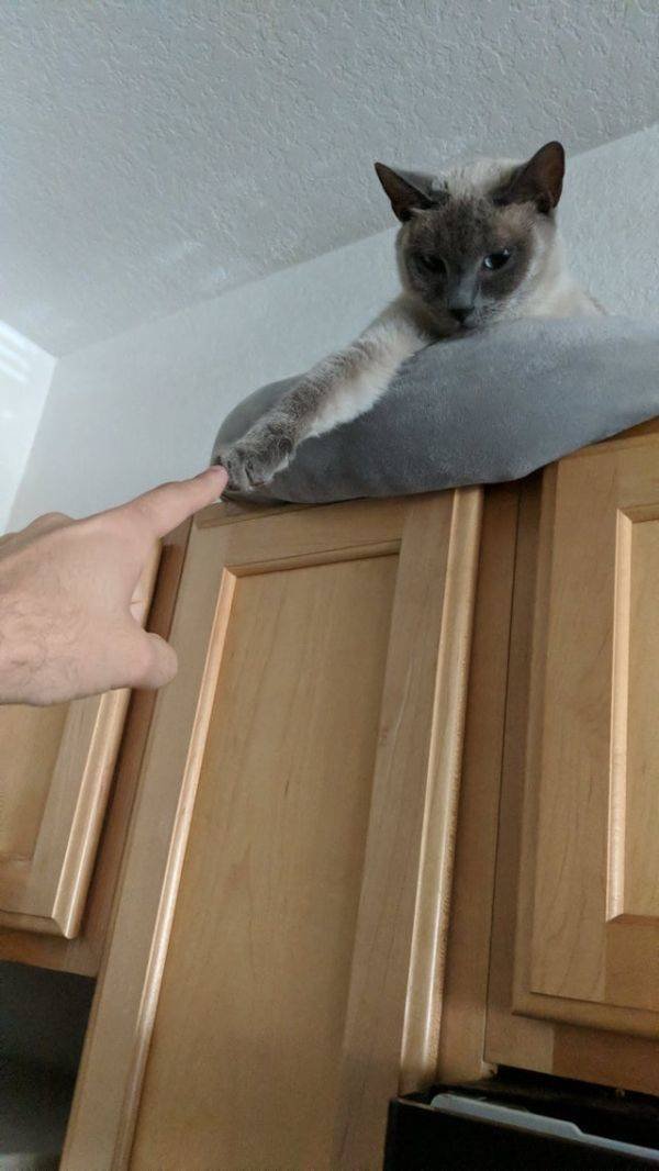 Acid Picdump, Part 2 (74 pics)