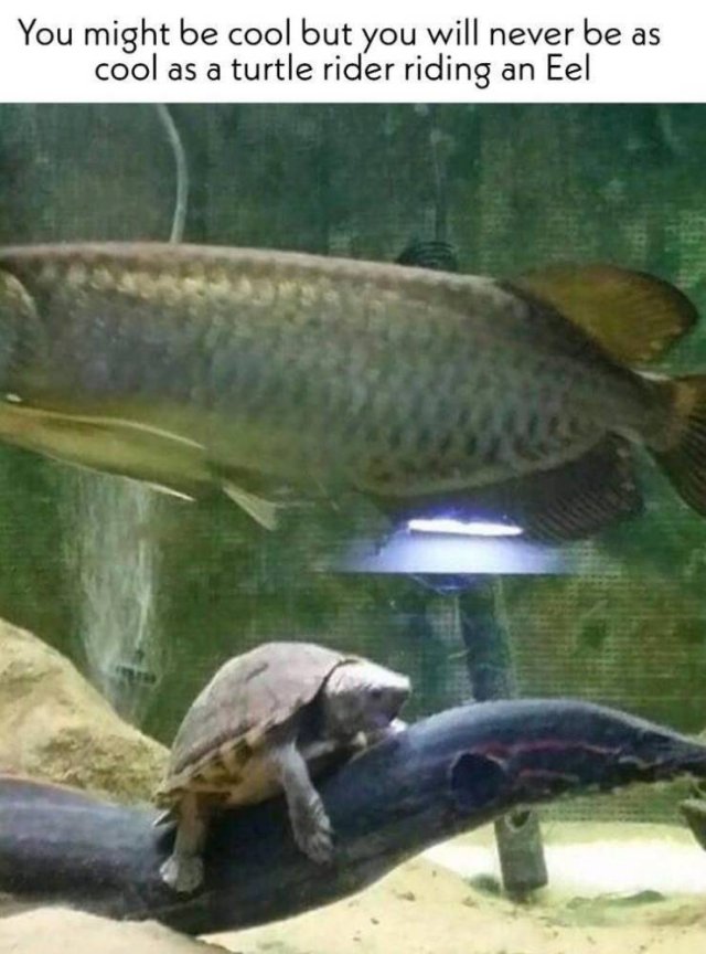 Acid Picdump, Part 1 (74 pics)