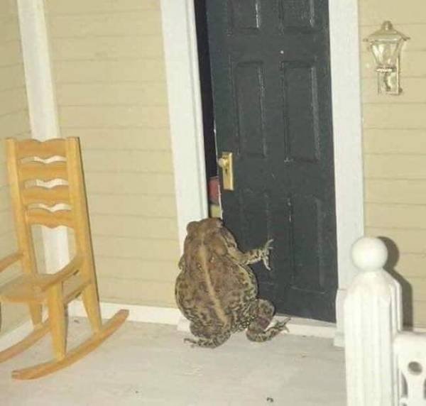 Acid Picdump, Part 2 (74 pics)