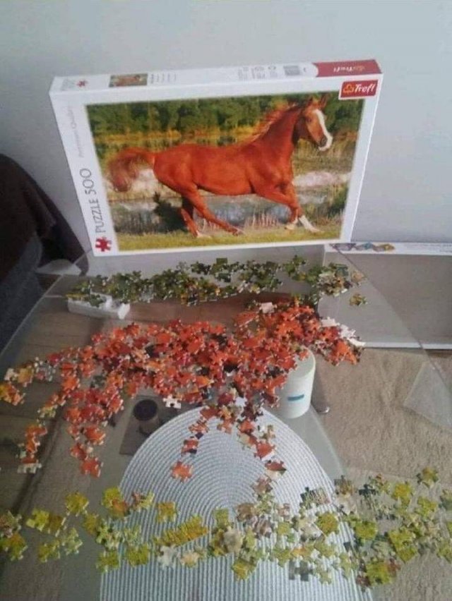 Acid Picdump, Part 1 (74 pics)