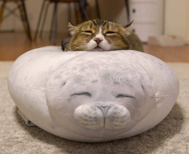 Acid Picdump, Part 1 (74 pics)