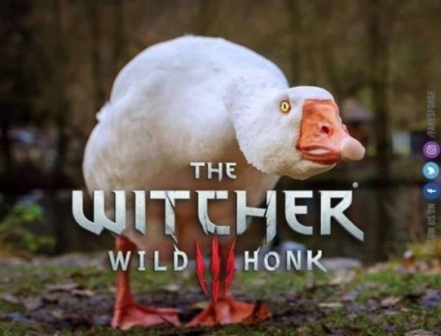 "The Witcher" Memes (31 pics)