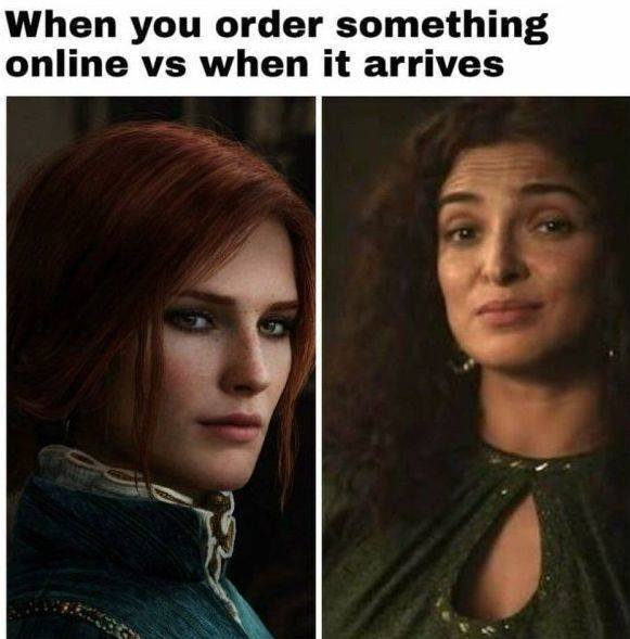 "The Witcher" Memes (31 pics)