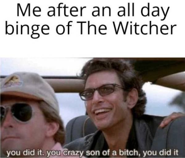 "The Witcher" Memes (31 pics)