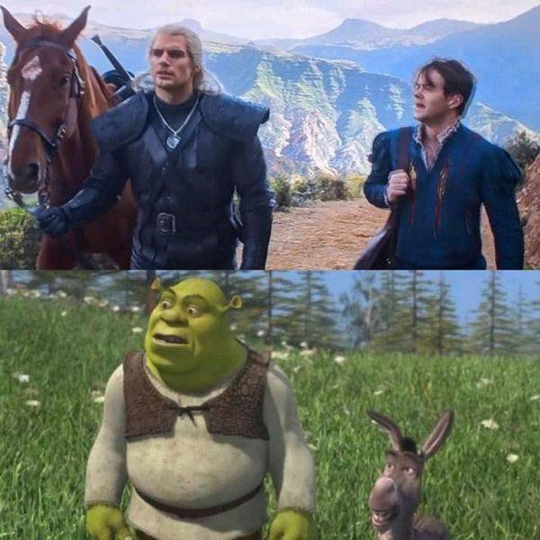 "The Witcher" Memes (31 pics)