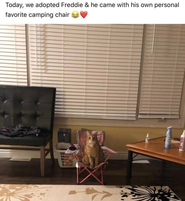 Random Funny Memes (40 pics)