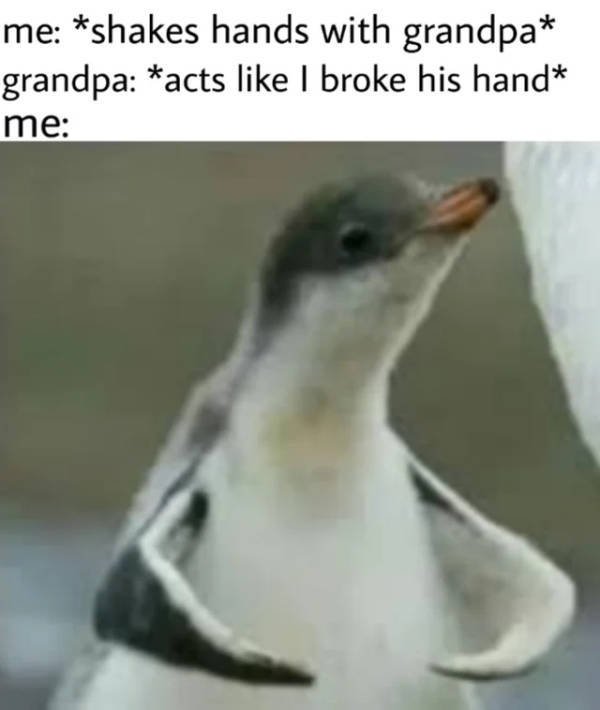 Random Funny Memes (40 pics)