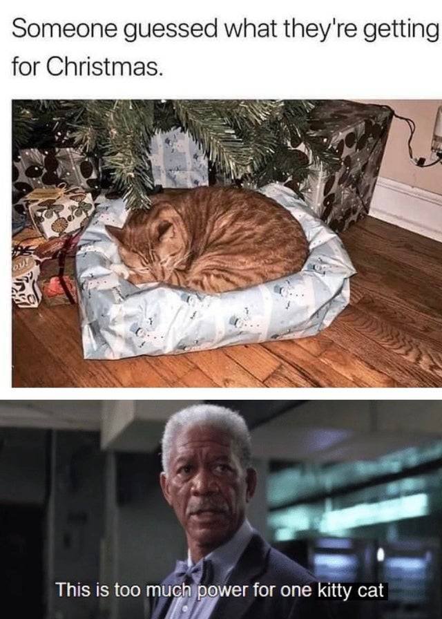 Random Funny Memes (40 pics)