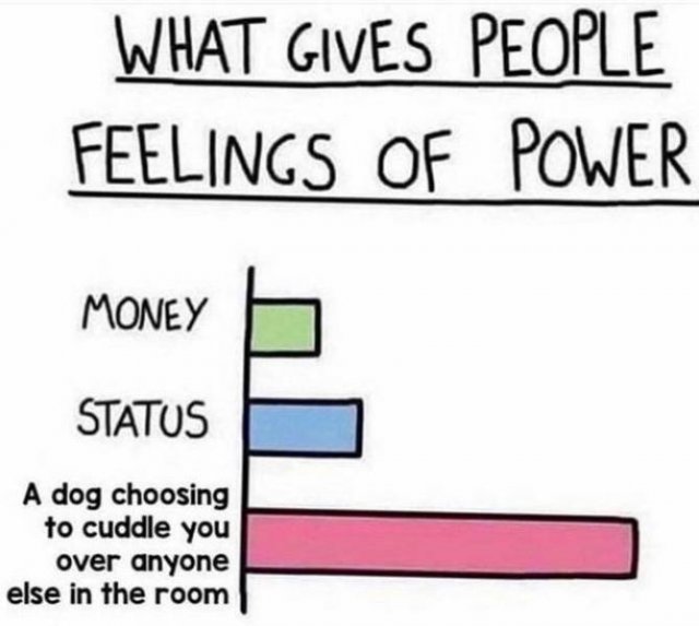 Random Funny Memes (40 pics)