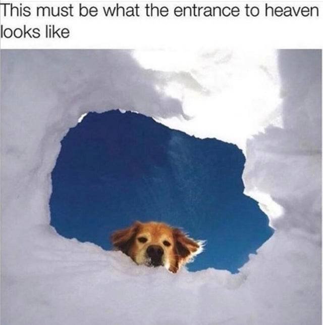 Random Funny Memes (40 pics)