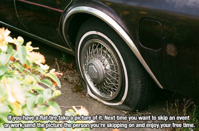 One Day You'll Need These Lifehacks (15 pics)