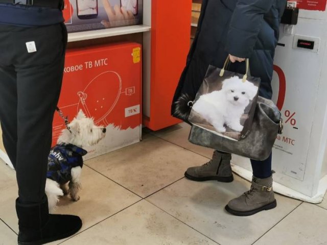 Only In Russia (40 pics)