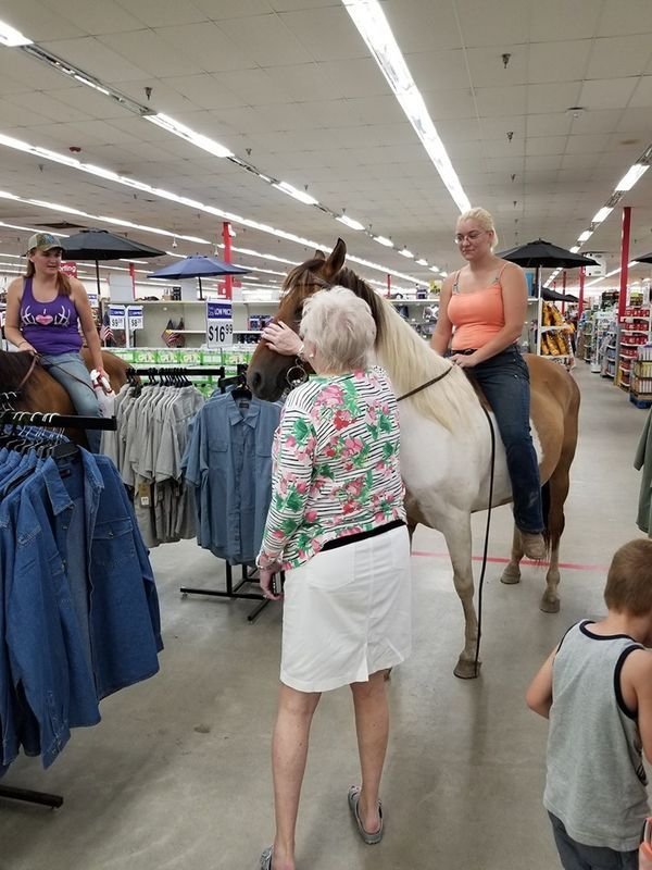 What's Wrong With These People (35 pics)