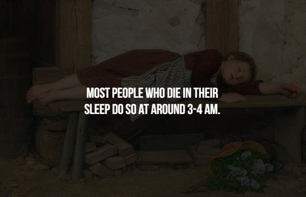 Scary Facts (15 pics)
