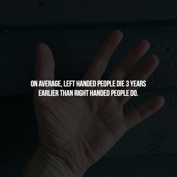 Scary Facts (15 pics)