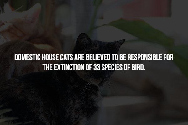 Scary Facts (15 pics)