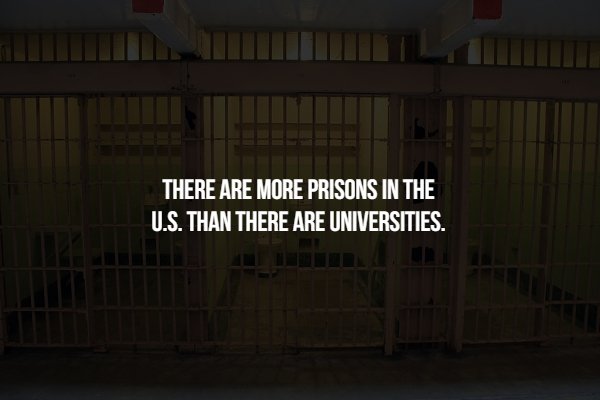 Scary Facts (15 pics)