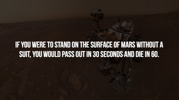 Scary Facts (15 pics)