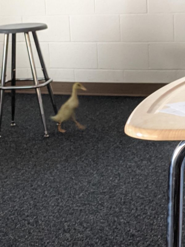 Interesting Things (25 pics) Interesting Things (25 pics)