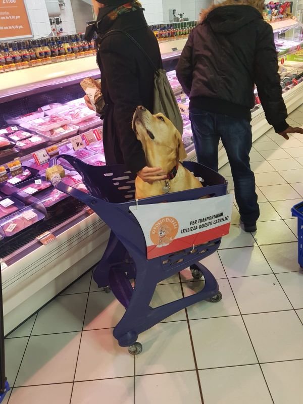 Interesting Things (25 pics) Interesting Things (25 pics)