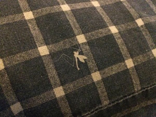 Interesting Things (25 pics) Interesting Things (25 pics)