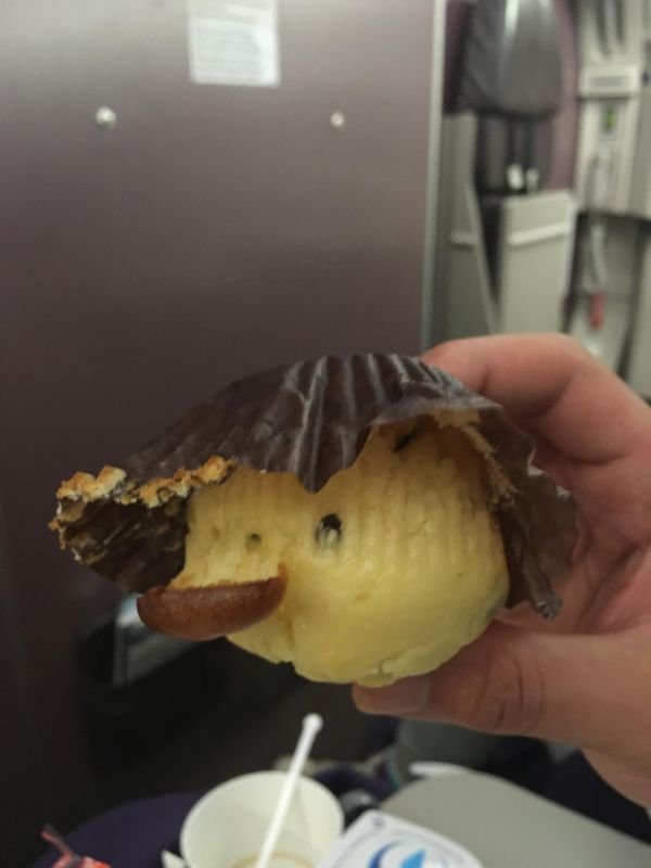 Interesting Things (25 pics) Interesting Things (25 pics)