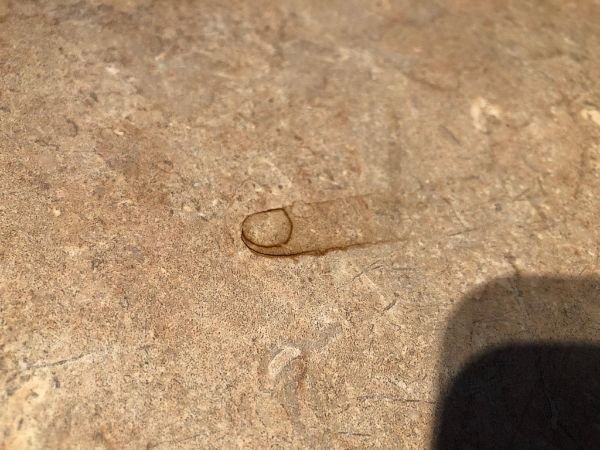 Interesting Things (25 pics) Interesting Things (25 pics)