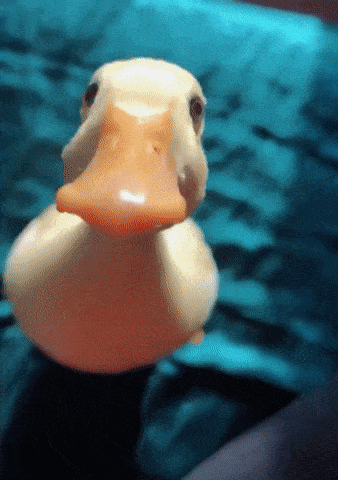 Acid Gifdump, December 30 (25 gifs)