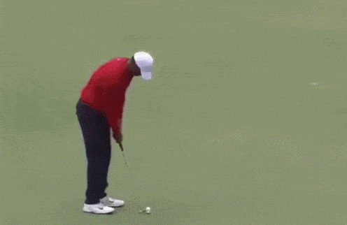 Acid Gifdump, December 30 (25 gifs)