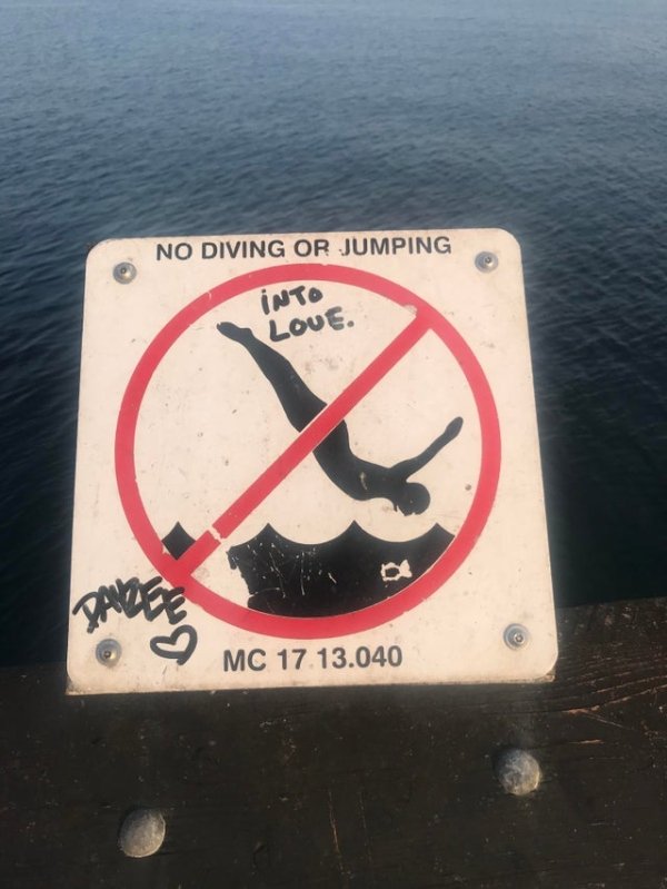 Genius Vandalism (36 pics)