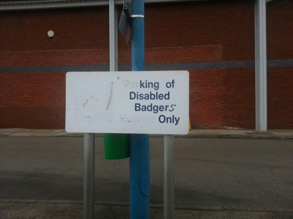 Genius Vandalism (36 pics)