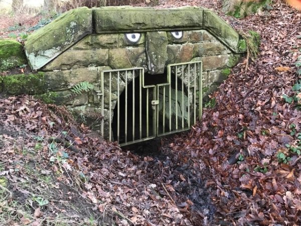 Genius Vandalism (36 pics)
