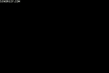 Acid Gifdump, January 3 (25 gifs)
