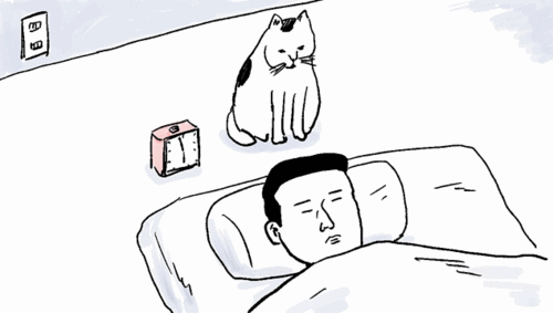 Acid Gifdump, January 3 (25 gifs)