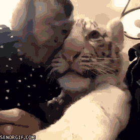 Acid Gifdump, January 3 (25 gifs)