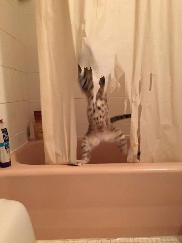 Acid Picdump. Part 2 (95 pics)