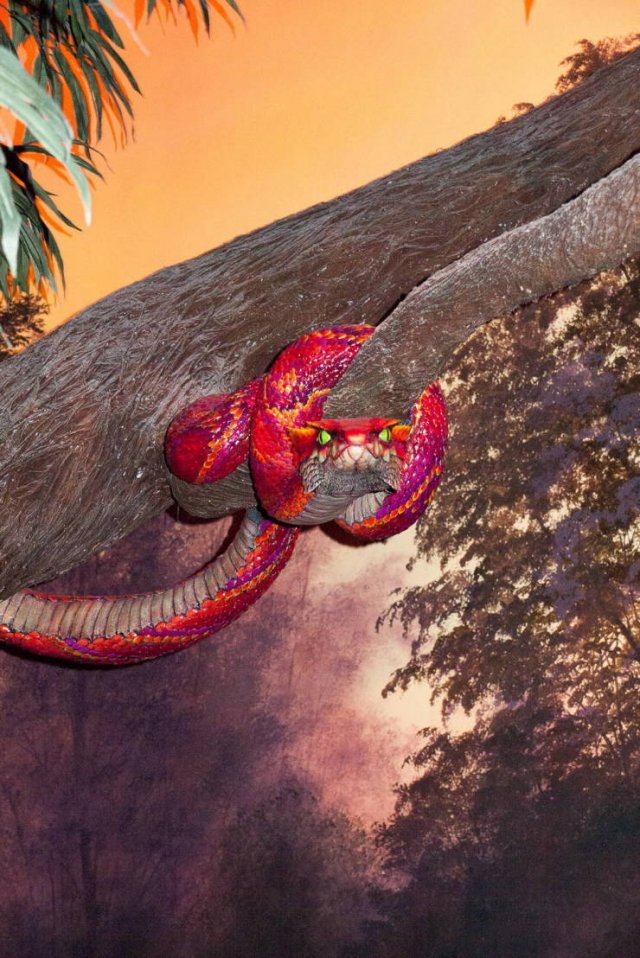 Acid Picdump. Part 2 (95 pics)