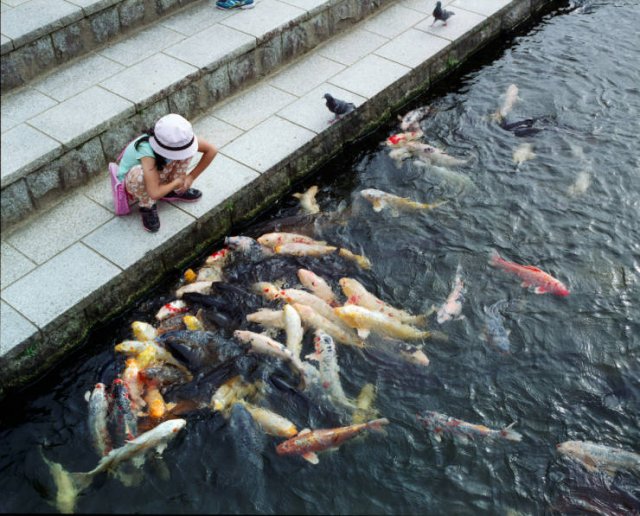 Acid Picdump. Part 2 (95 pics)