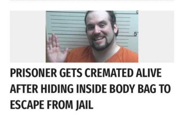 At Least You Tried (22 pics)