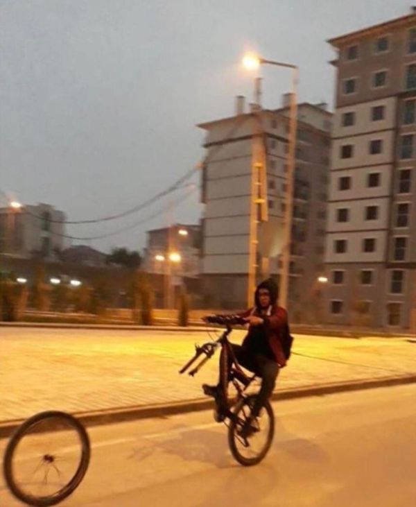 At Least You Tried (22 pics)