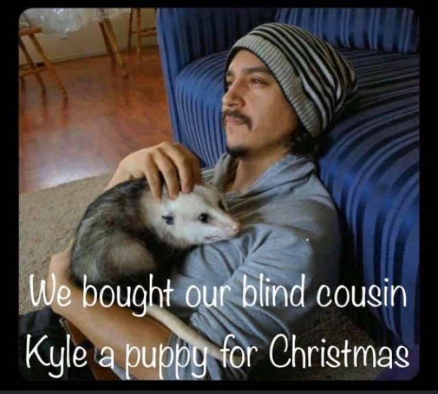 Dirty Humor (51 pics)