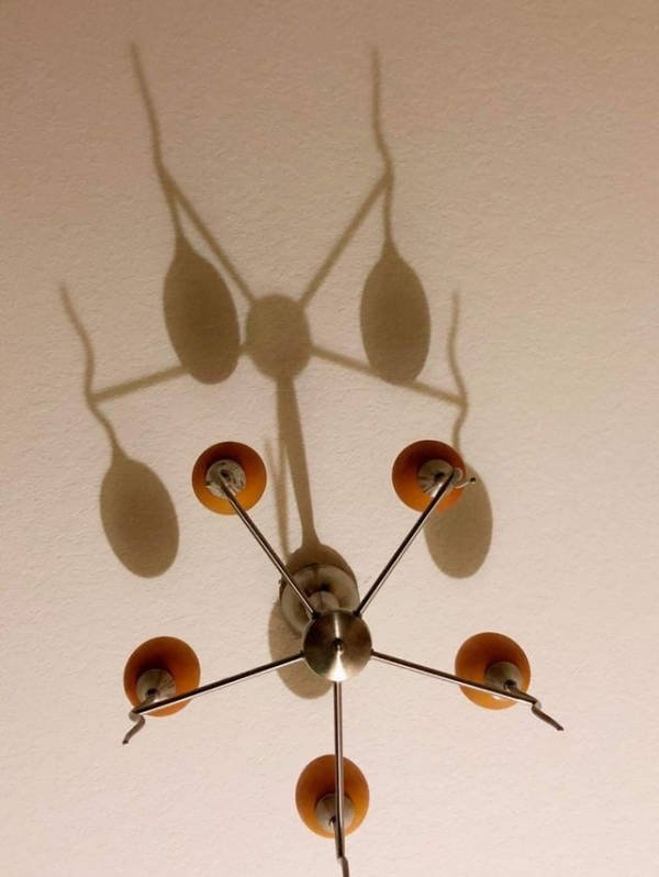 Dirty Humor (51 pics)