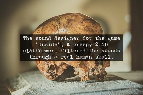 Scary Facts (14 pics)