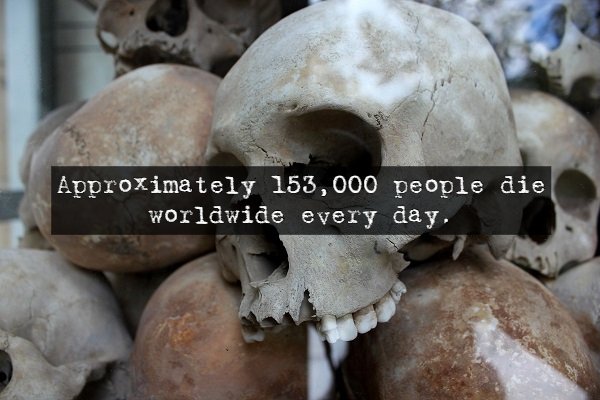 Scary Facts (14 pics)