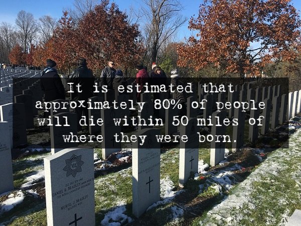 Scary Facts (14 pics)