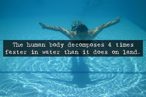 Scary Facts (14 pics)